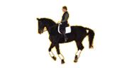 Reitclub Waldm�nchen e. V.